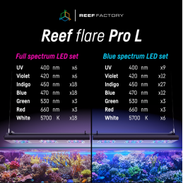 14 Dni Testów - Usługa Wypożyczenia Reef Flare Pro BLUE L Black 195 W