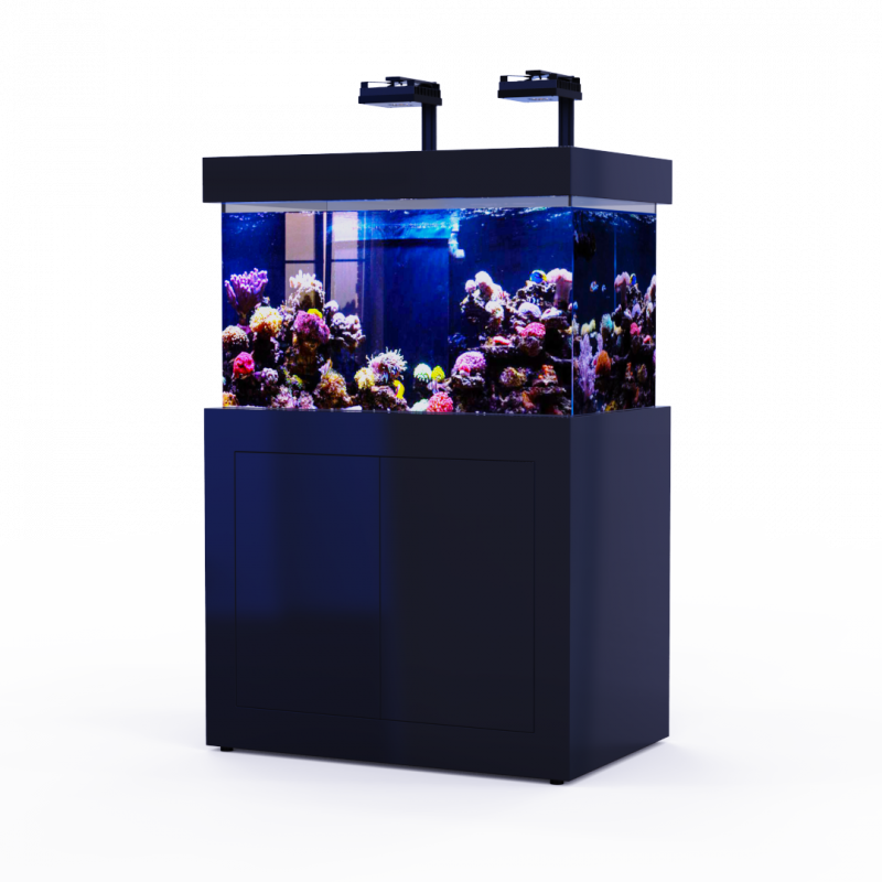 Akwarium Crazy Coral Black Reef 320 Full