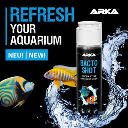 ARKA BACTO-SHOT 50ML