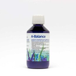 Korallen Zucht A-Balance 250 ml