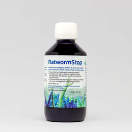 Korallen Zucht Flatworm Stop 250 ml