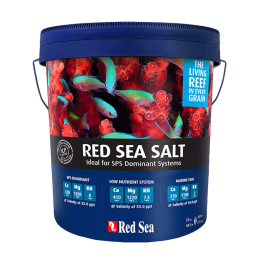 Red Sea Salt  4 kg- sól morska