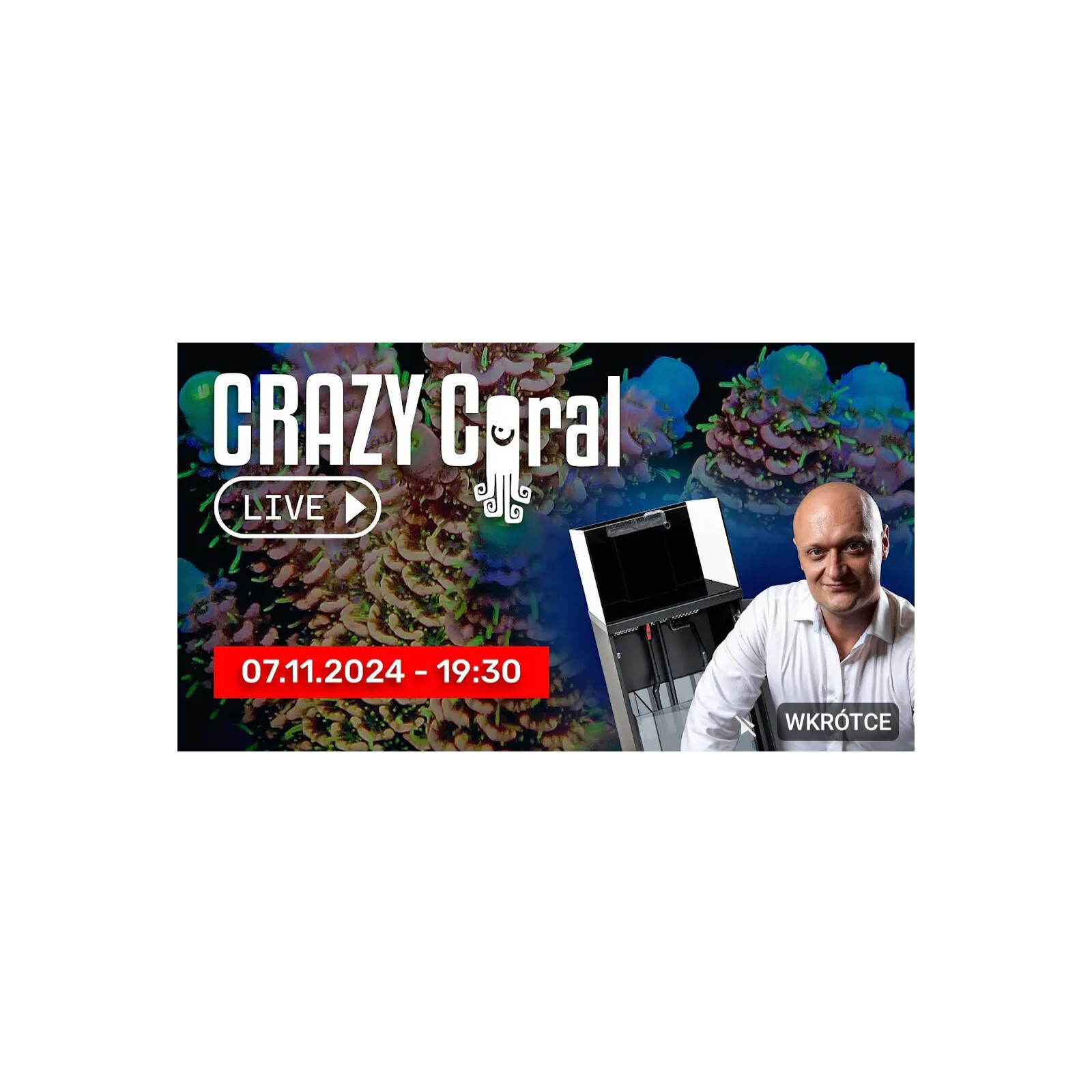 Crazy Coral Live